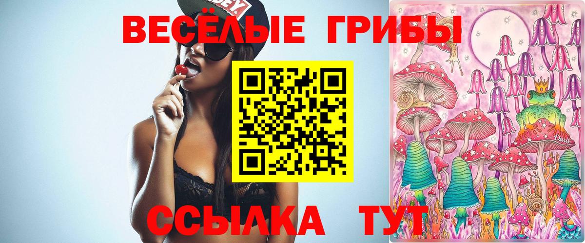 Волоколамск  Галлюциногенные грибы мухоморы  Галлюциногенные грибы GOLDEN TEACHER  Вход с VPN 